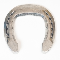 Natural Balance PLR - Wedge                       